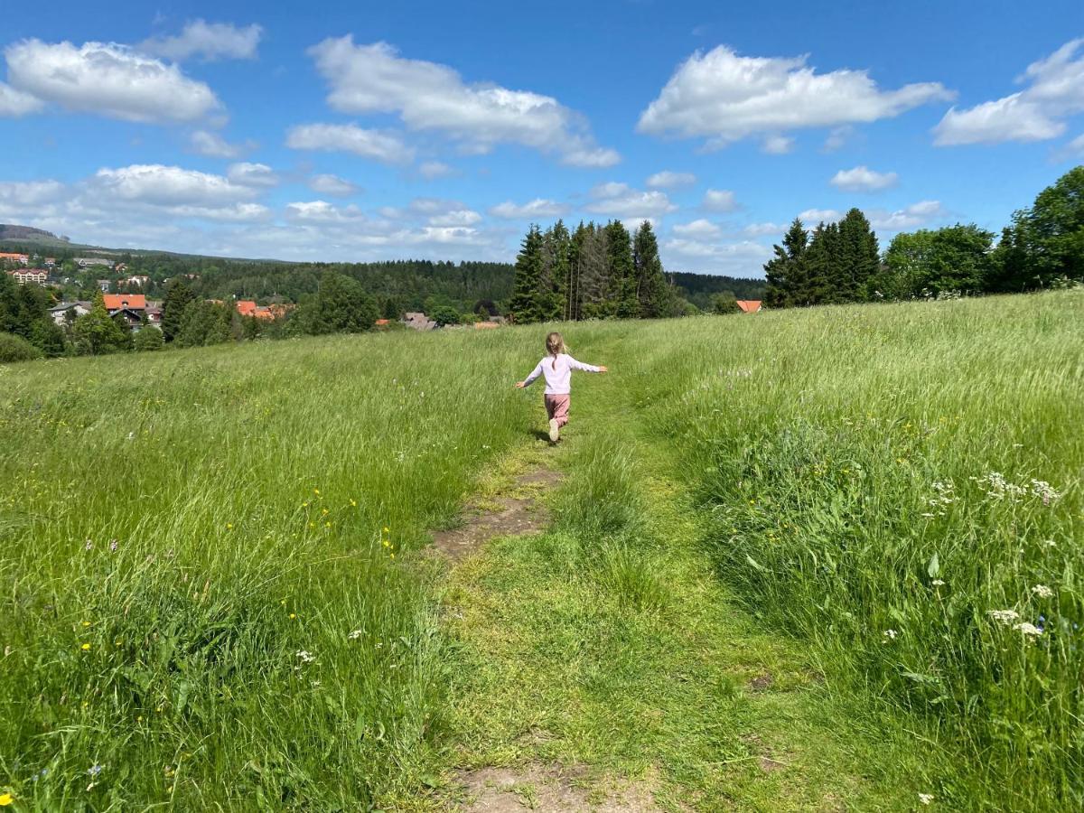 Berglage - Das Urlaubzuhause Braunlage Eksteriør bilde